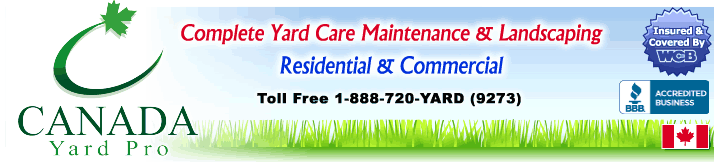 Saskatoon Christmas Lights Setup Services